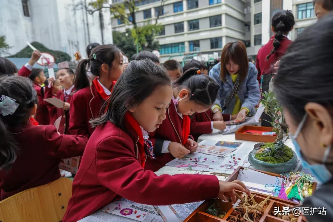 如何推进中医药文化传播？四川五部门联合印发工作方案