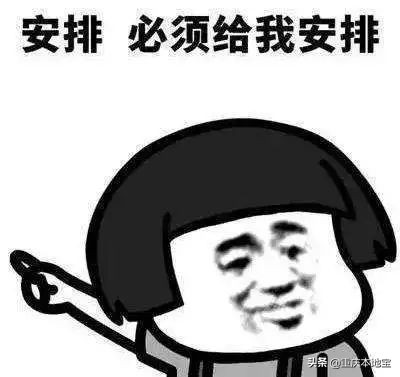 一大波萌宠来袭！国际宠博会落地重庆！还有限量免费门票可以领