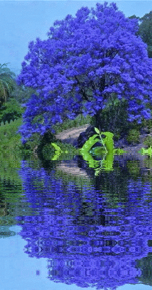 妈妈，我们总是把你藏在你的心里。