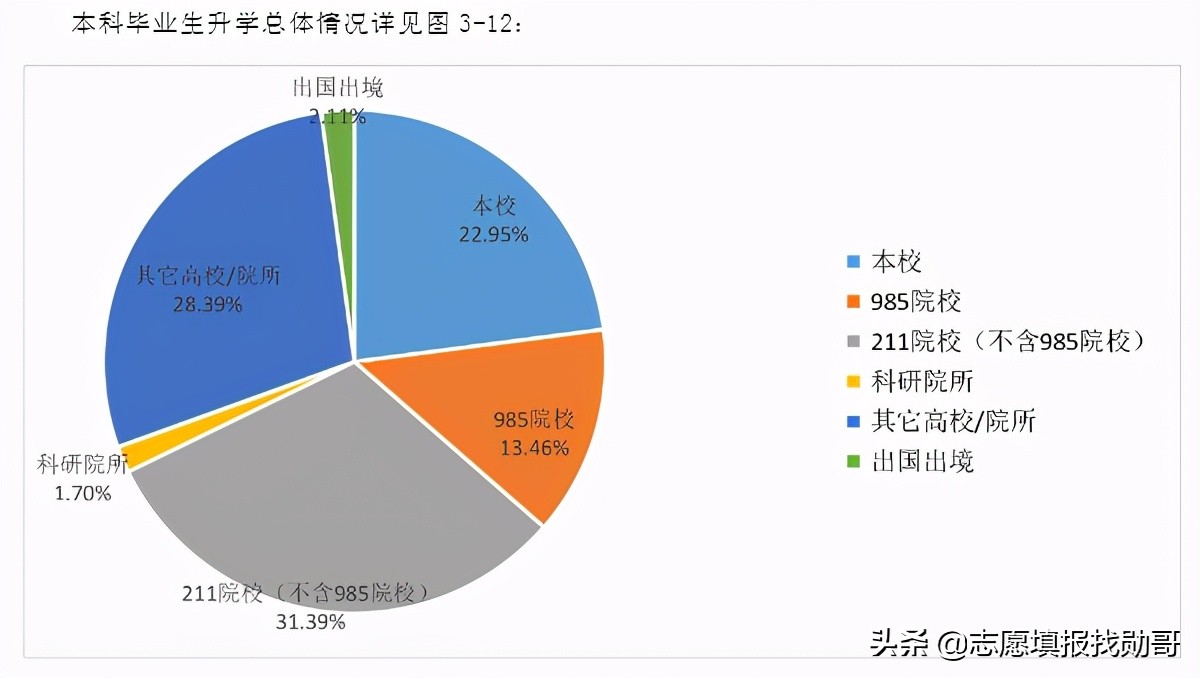 安徽一所被低估的大学，身处在四线城市，有一专业全国都很出名