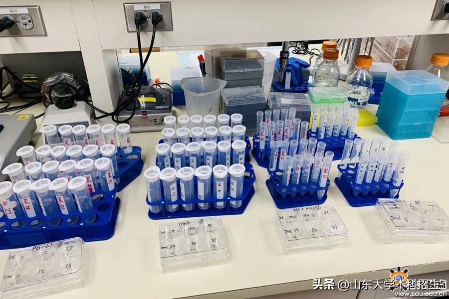 山东“硬核”博士：研究为癌症肿瘤病人带来新希望，获美国放射肿瘤学会唯一大奖！