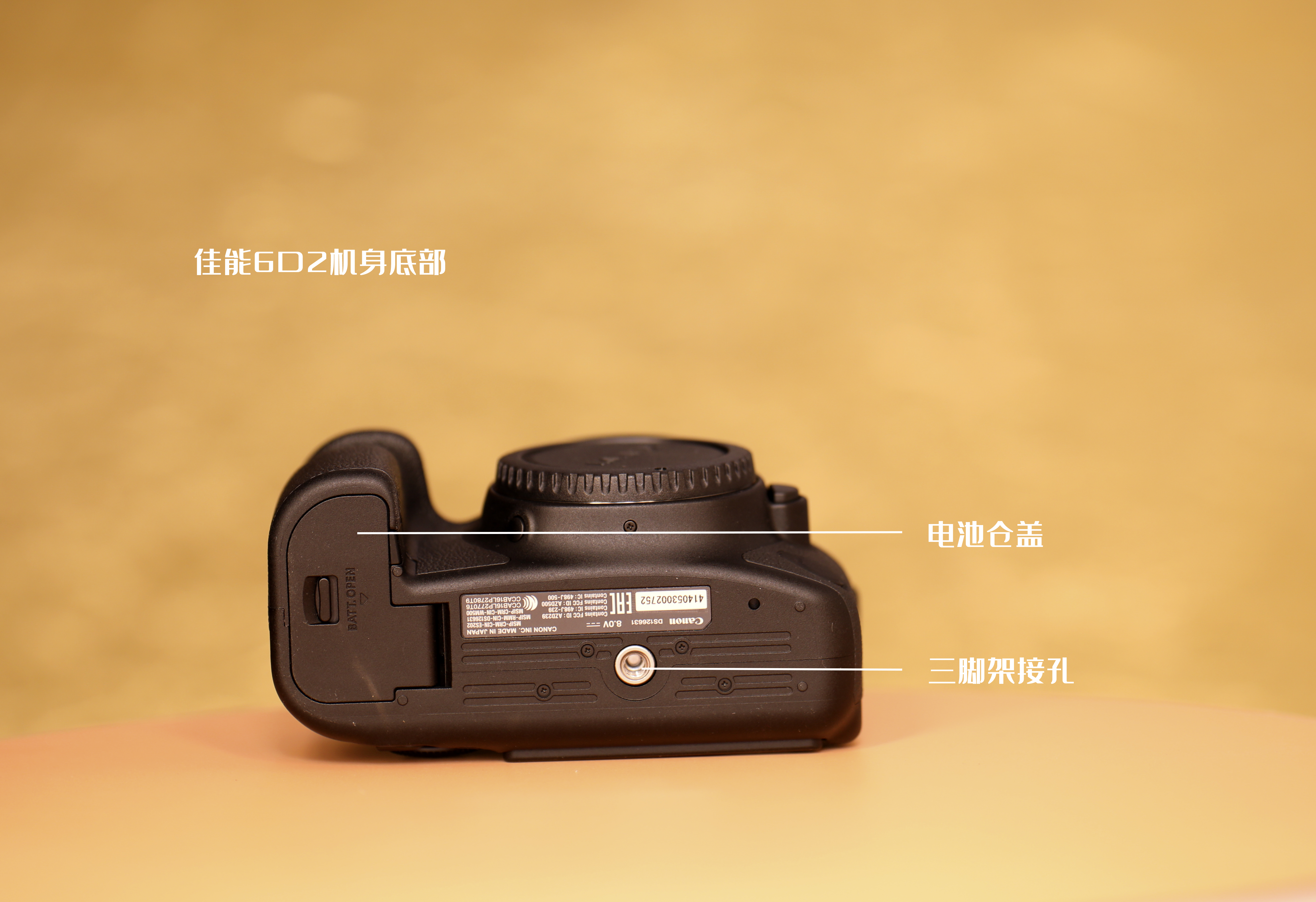 佳能單反按鍵功能講解——佳能6D2、佳能5D4相機應(yīng)用