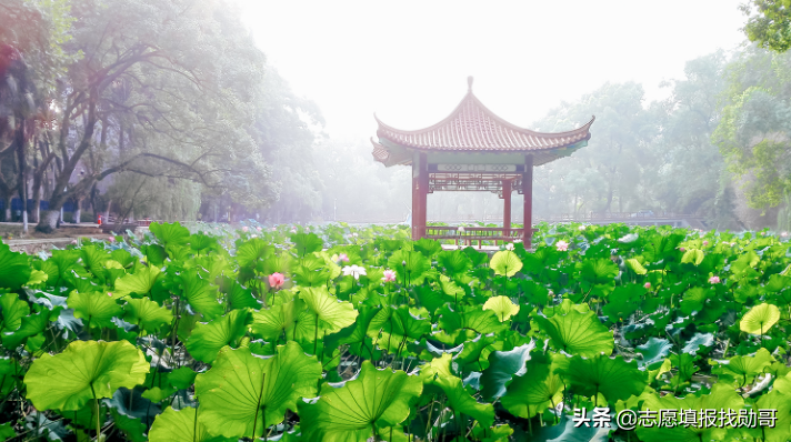 赫赫有名的四大工学院，一所牛气，另一所凉凉！网友：你掉队了