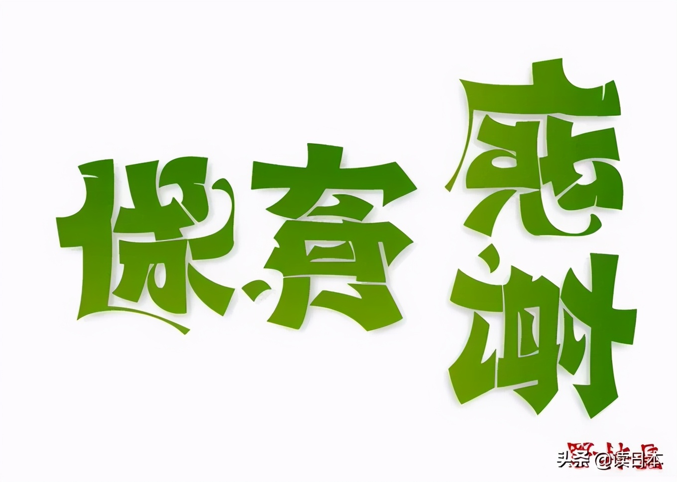 日本90后小哥凭翻转字体爆火，这创意我给满分