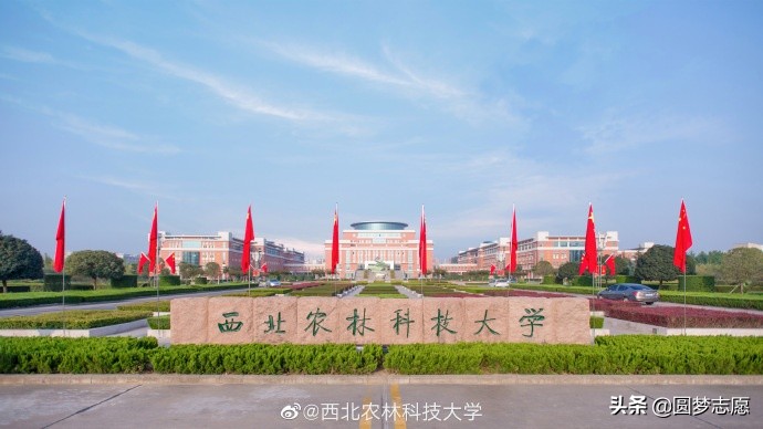 大学专业：为水土保持与荒漠化专业正名！它并非你想象的冷门