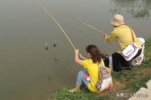 钓龙虾怎么钓（一文详解小龙虾的垂钓技巧）