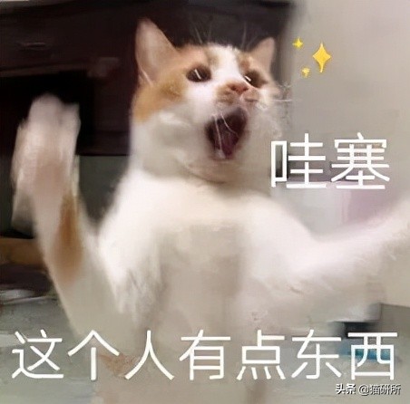 猫咪为啥总是喵喵叫讨食？明明碗里还有粮