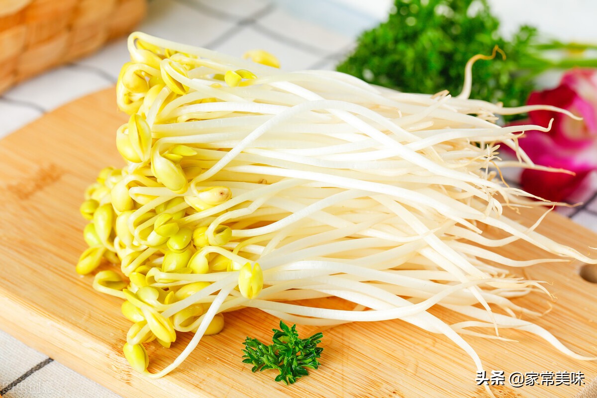 豆芽菜图片(一样是豆芽) - 赤虎壹号