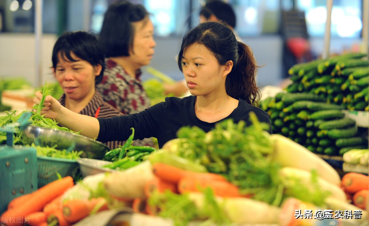 蔬菜价格上涨会影响“吃菜自由”吗？萝卜亩赚500元，西葫芦涨97%