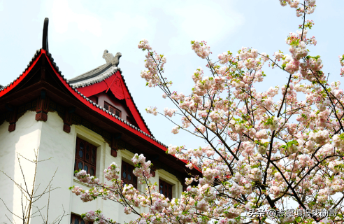 2020年师范类大学“火”了！“猛涨”了？考生：我该怎么办？