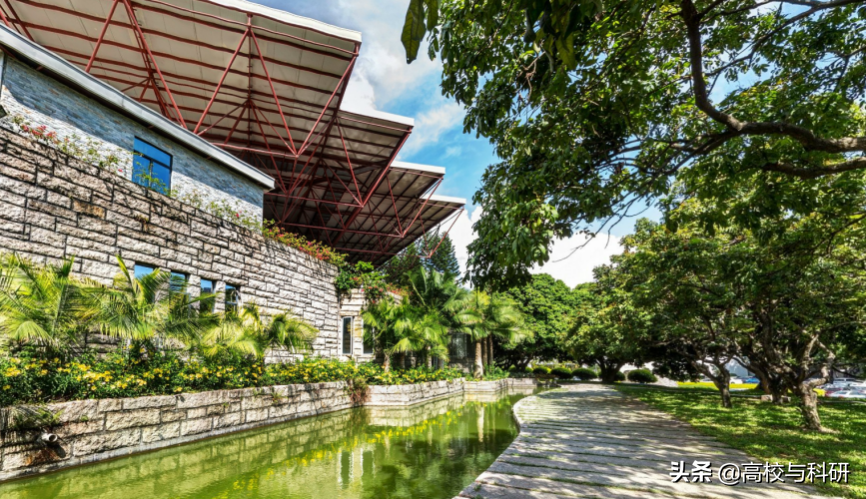 深圳大学，没想到你是这样的存在