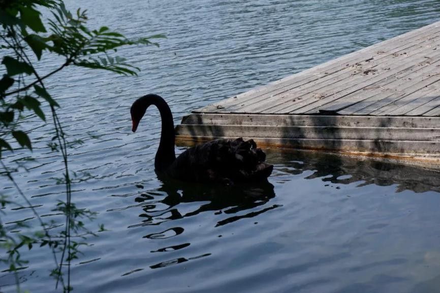 高清大图惊艳来袭！江苏这些“校花”神仙颜值，你Pick哪一个