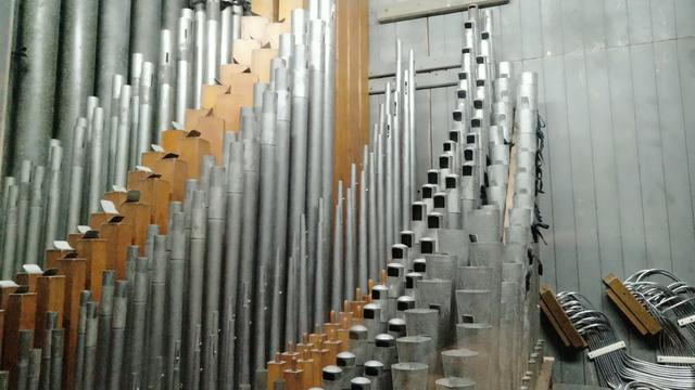 厦门三天三夜游，我只去了这三个地方，但却很满足