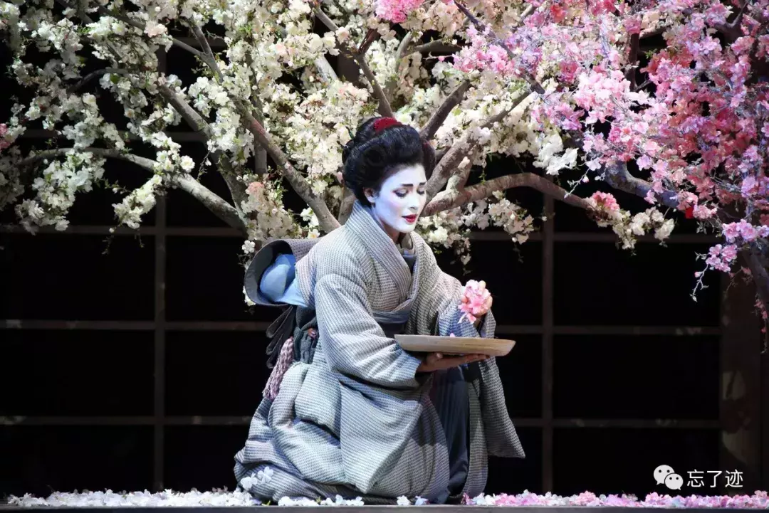 蝴蝶印度电影剧情「分析」 _晶羽科技