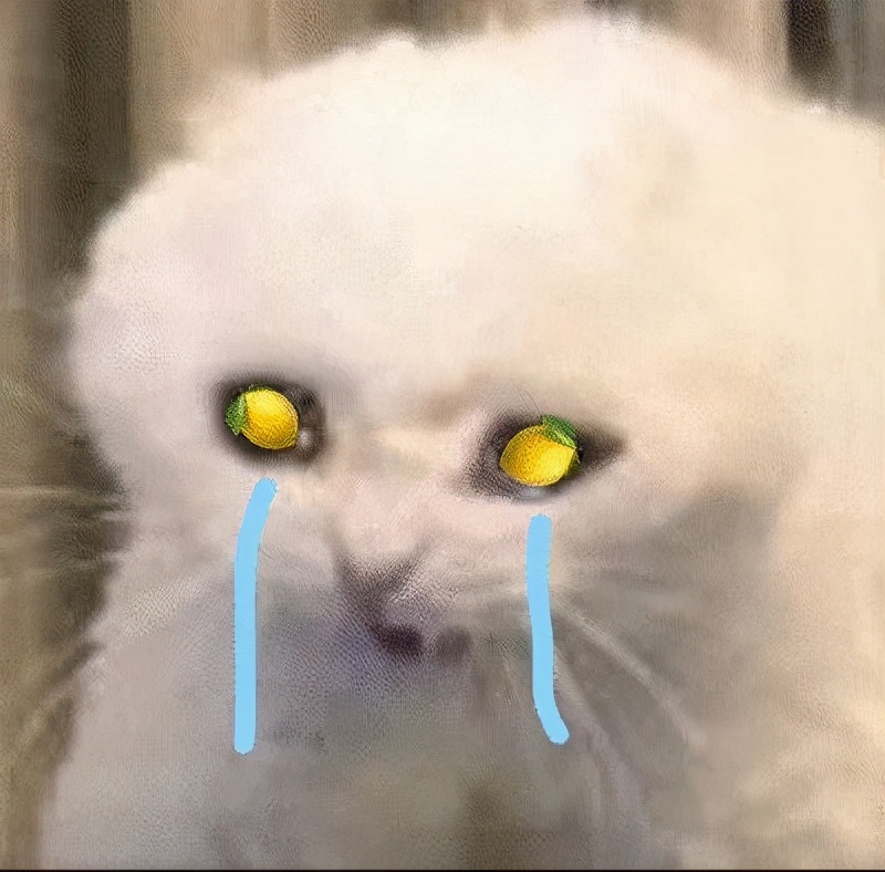 综排又高，暑假又长，这些神仙学校了解一下