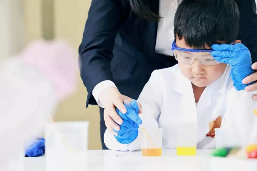 王府学校国际化教师团队：理科不只是数理化