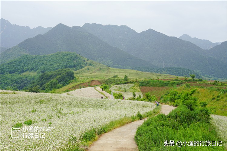 西安秦岭小镇太适合自驾了！处处美景与古迹，门票停车都免费