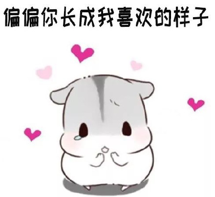 仓鼠表情包合集|我们的友谊走到尽头啦,哼