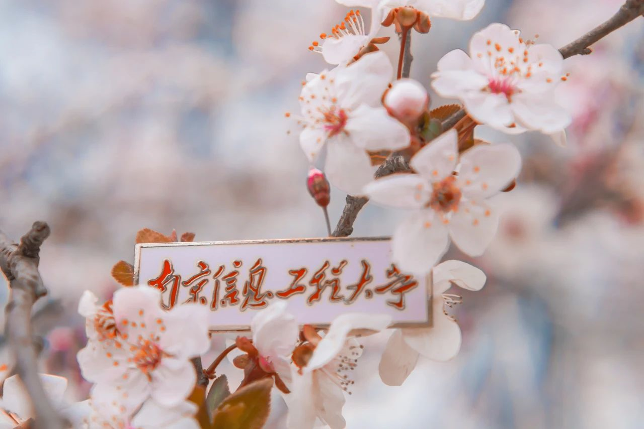 多少分可以报考南京信息工程大学？南信大2021江苏高考预估录取分数线权威发布！