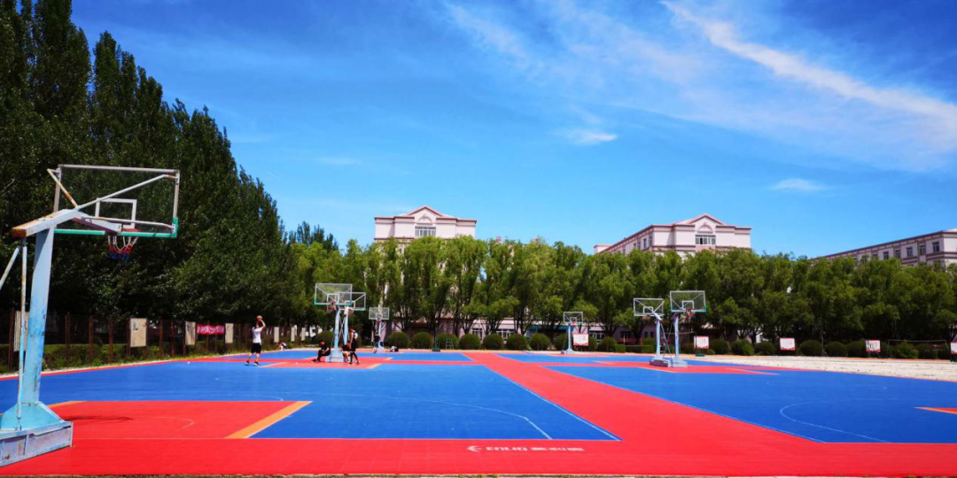 新区高校集结 | 传承北大荒精神，培养创新创业人才！走进黑龙江农垦职业学院