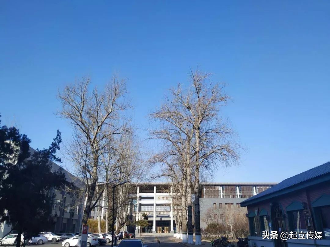 揭秘艺术生艰难高考路：寝室的大姐大，在农村室友床上泼了一桶水