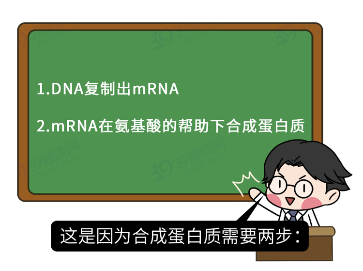 想锻炼成肌肉男，每天至少要吃多少蛋白质？一个公式简单算一算