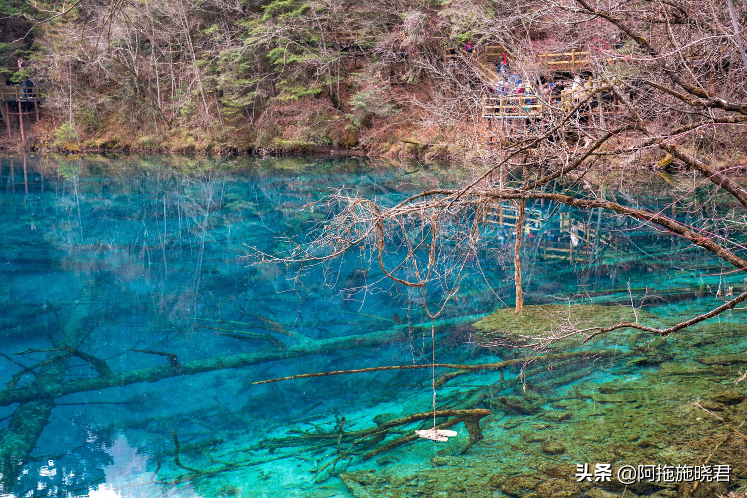 “此景只应天上有”，为之沉醉的九寨沟