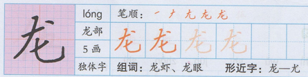 二年级语文上册第17课《难忘的泼水节》写字表：忘泼度龙炮穿始令