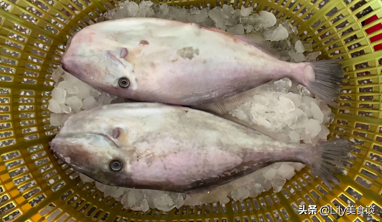 深海鱼有哪些，6种海鱼营养介绍？