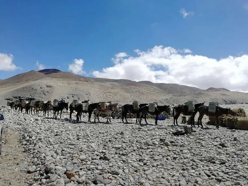 2020高考作文押题（内附最新素材）