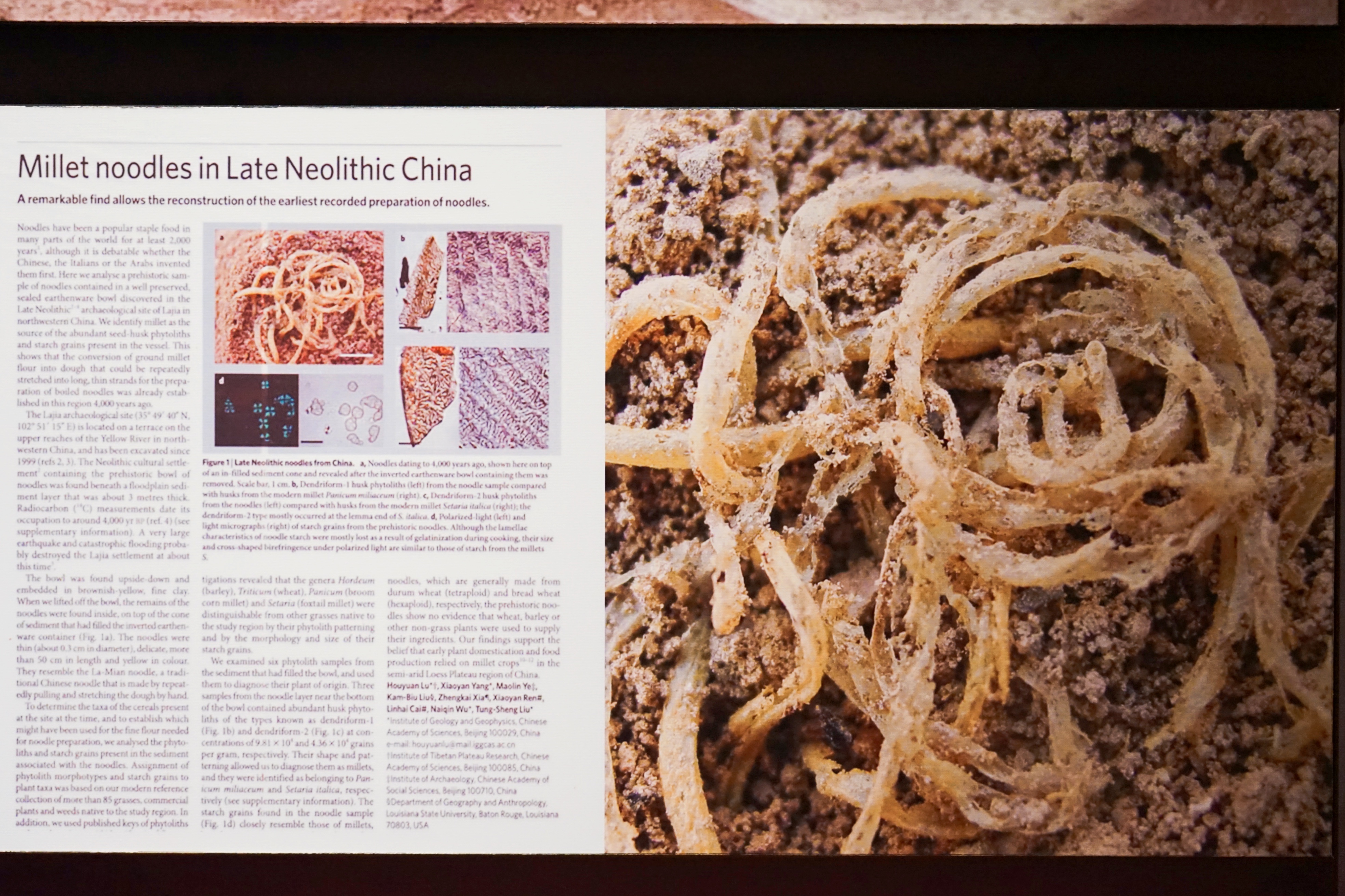 4000年前的面条什么样?它来自青藏高原,餐具出人意料