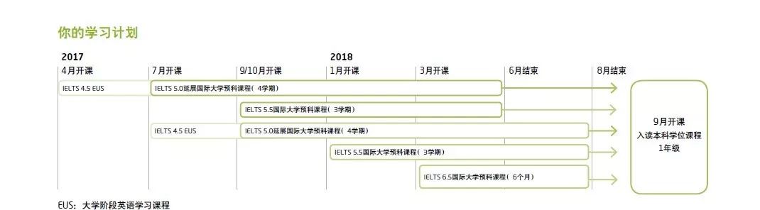 这些理由，让我决定在进入大学前考雅思