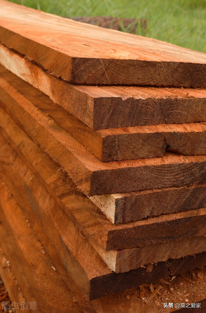 柳桉木是什么木材，有什么特点，属于什么档次的木材？