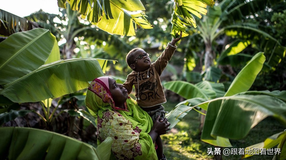 荷兰东印度公司离成立200周年只差4年，就倒闭了