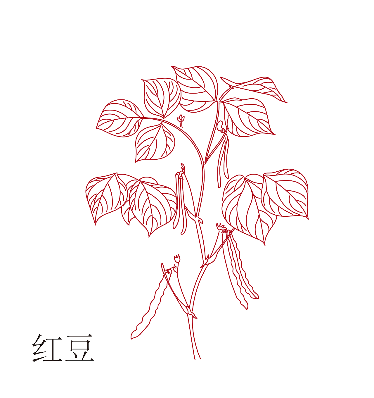 冯宗璞《红豆》:看"红豆"是怎么阻隔爱情的