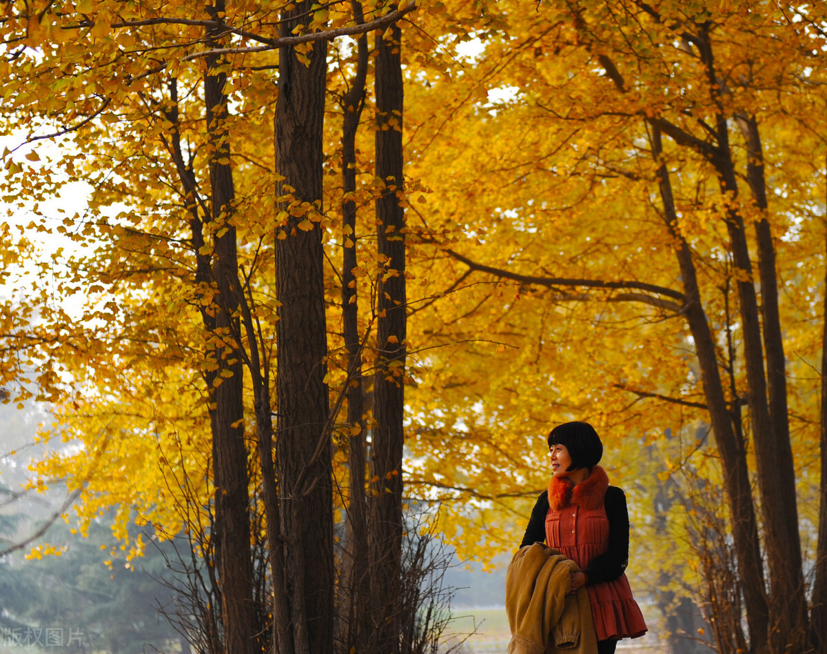 中小学生描写秋天作文的开头和结尾，建议家长老师为孩子们收藏