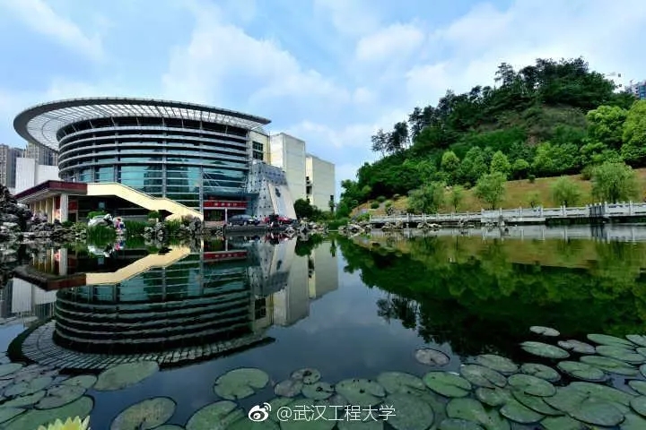 今天520！看完湖北这场