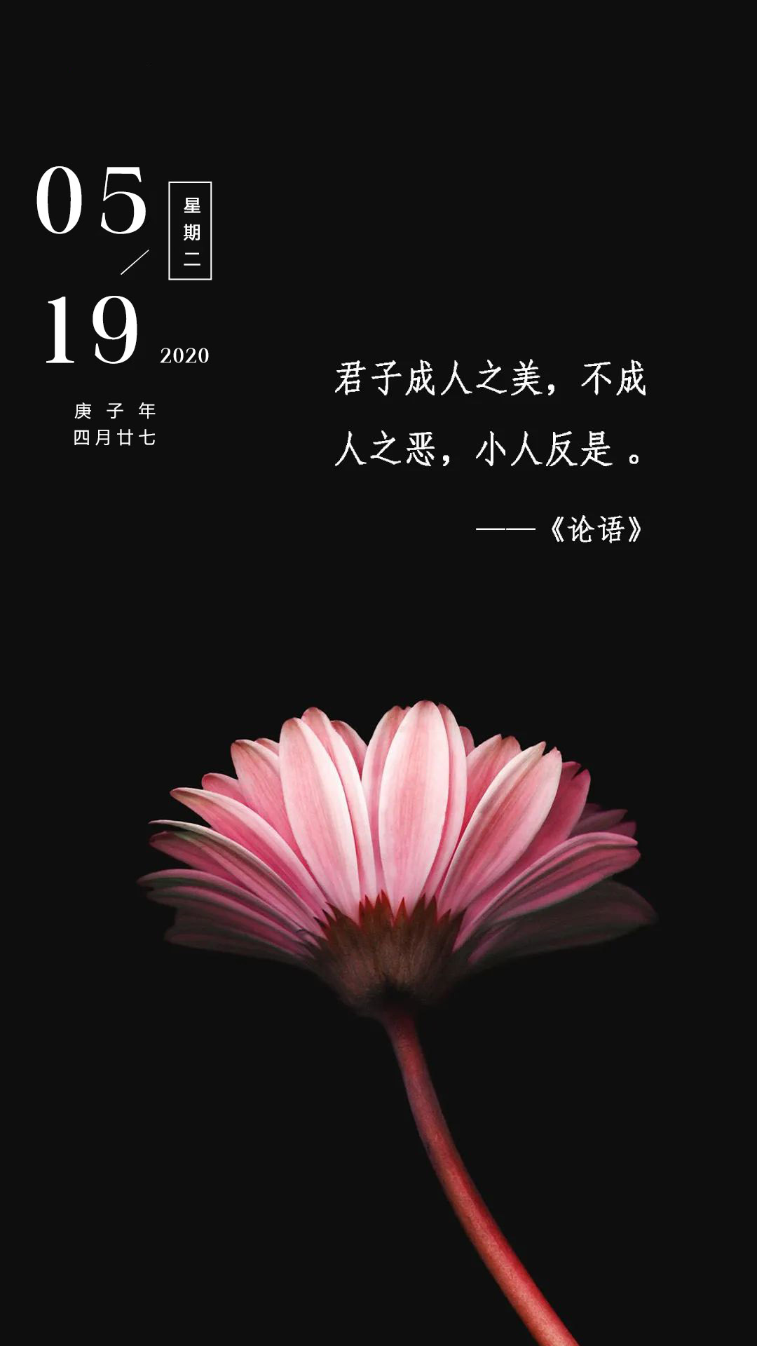 早安心语正能量图片日签加字：努力做个温暖的人，用微笑去迎接阳光