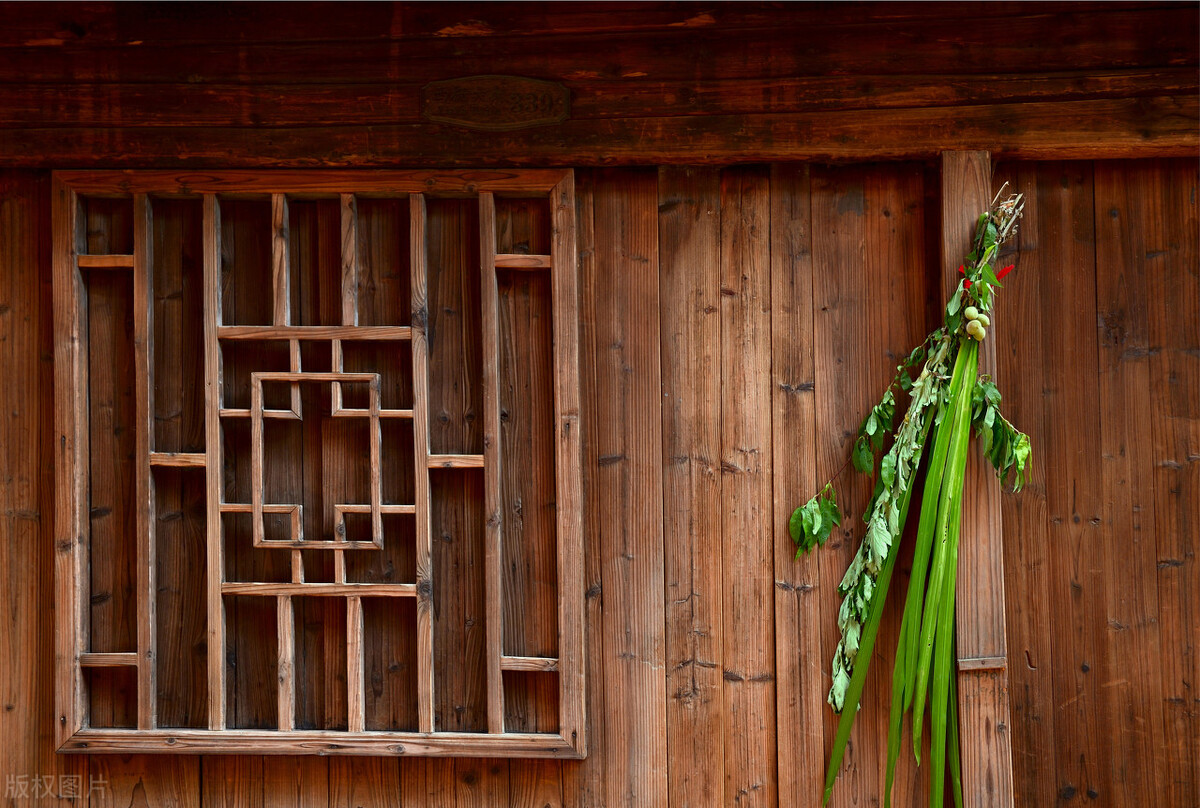 端午插艾为何还要挂菖蒲?四句老话,知悉菖蒲在端午节里的4用途