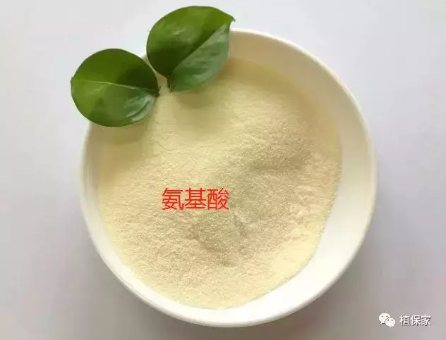 江西甲壳素水溶肥厂家是哪里的(骗局？这些肥料的性能作用不一样)