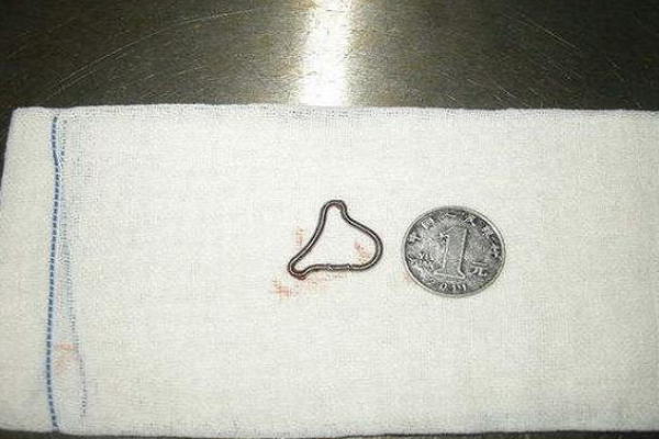 元宫环图片(首批) - 赤虎壹号