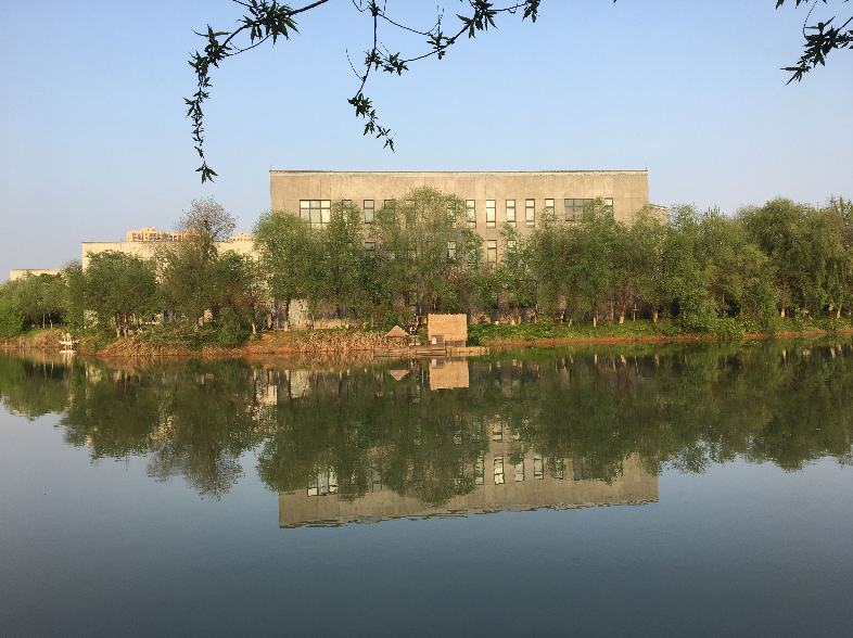 湖北美术学院2021年录取分数线是提高还是降低？省内最低提高34分