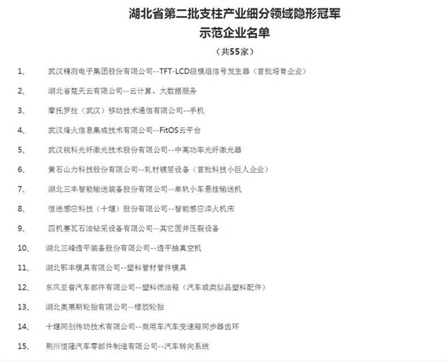 十堰这些企业入选湖北隐形冠军企业！快看看有你单位吗？