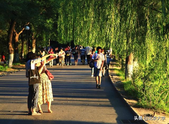 “元培”计划和“博雅”教育的由来——北大七十年教育教学探索之路