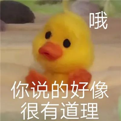 表情包 | 小黄鸭系列表情图片