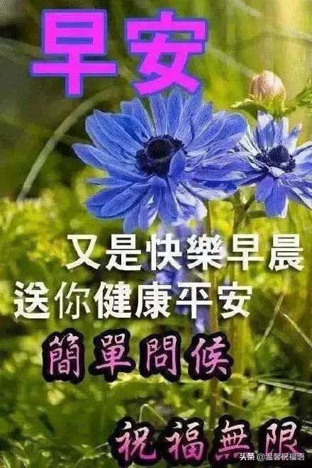 温馨的祝福微信相见，天赐的缘分网络相牵。早安