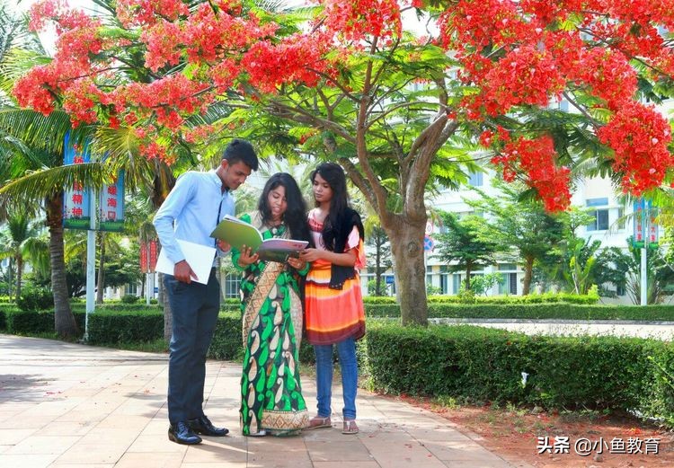 23个省中，2020年省内排名前5的大学！海南篇