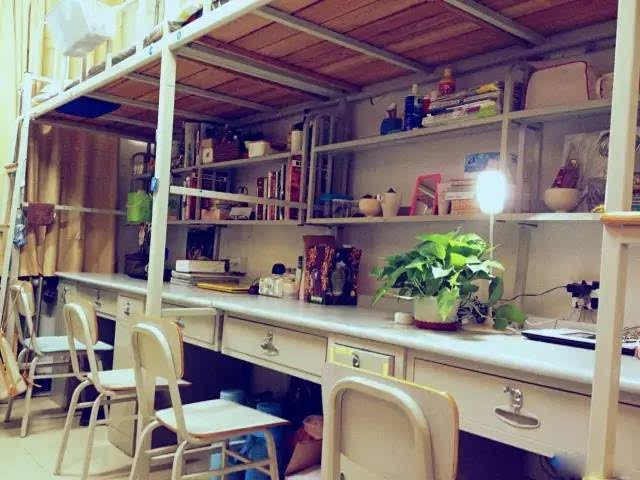 清华大学的宿舍（同样是大学宿舍）