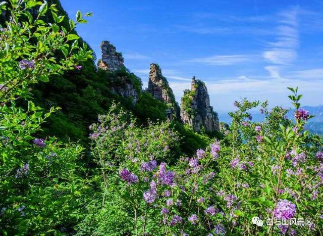 河北国家一流河北大学周边五A景点吃住行游购娱攻略