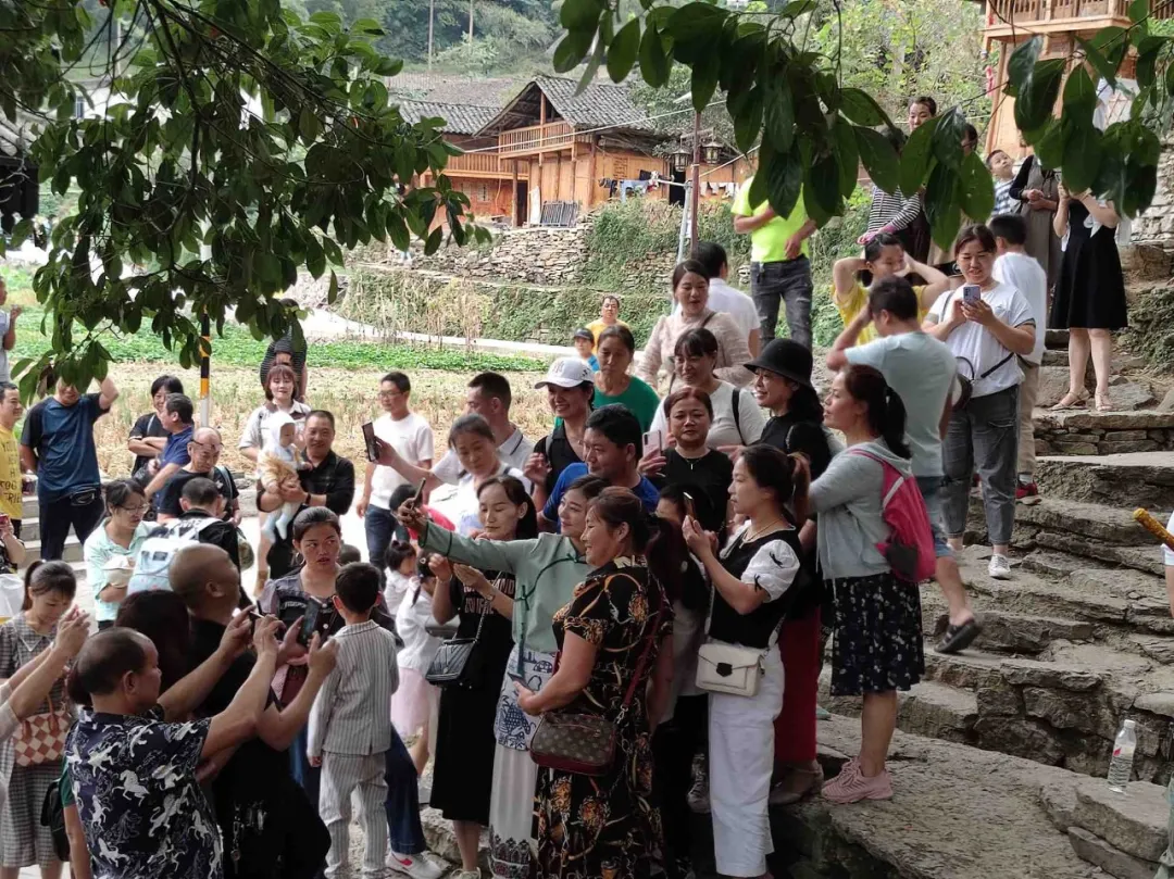 字节跳动最近发生了什么？看这篇内容就够了